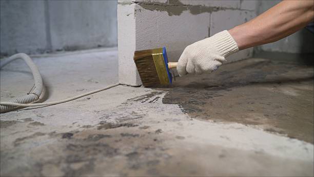 SJ Waterproofing Pros Waterproofing coverage map for Caryville, TN and surrounding area